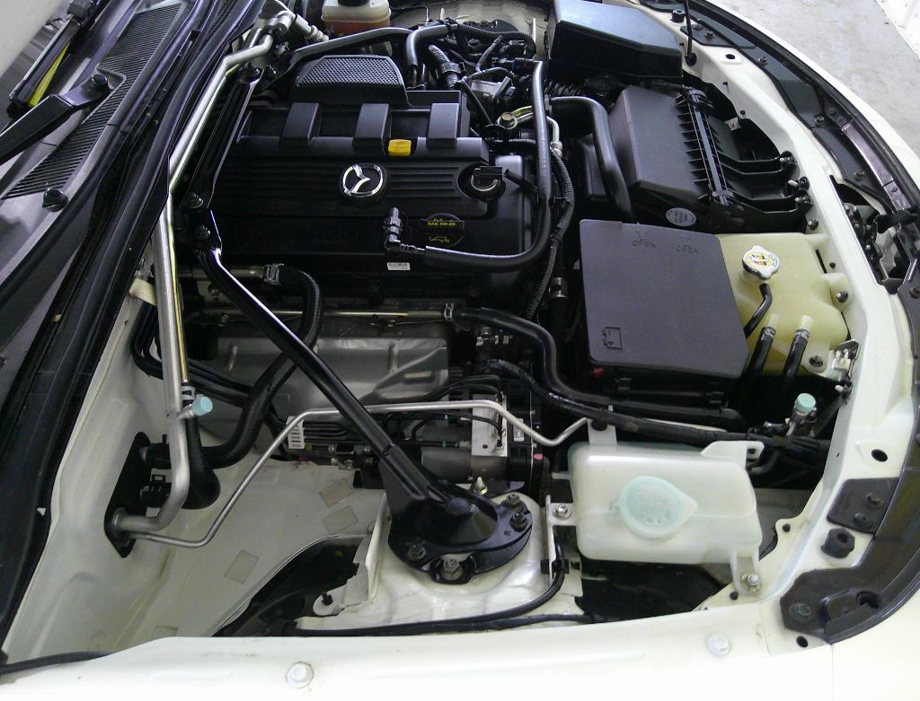 View 41